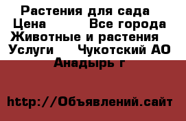 Растения для сада › Цена ­ 200 - Все города Животные и растения » Услуги   . Чукотский АО,Анадырь г.